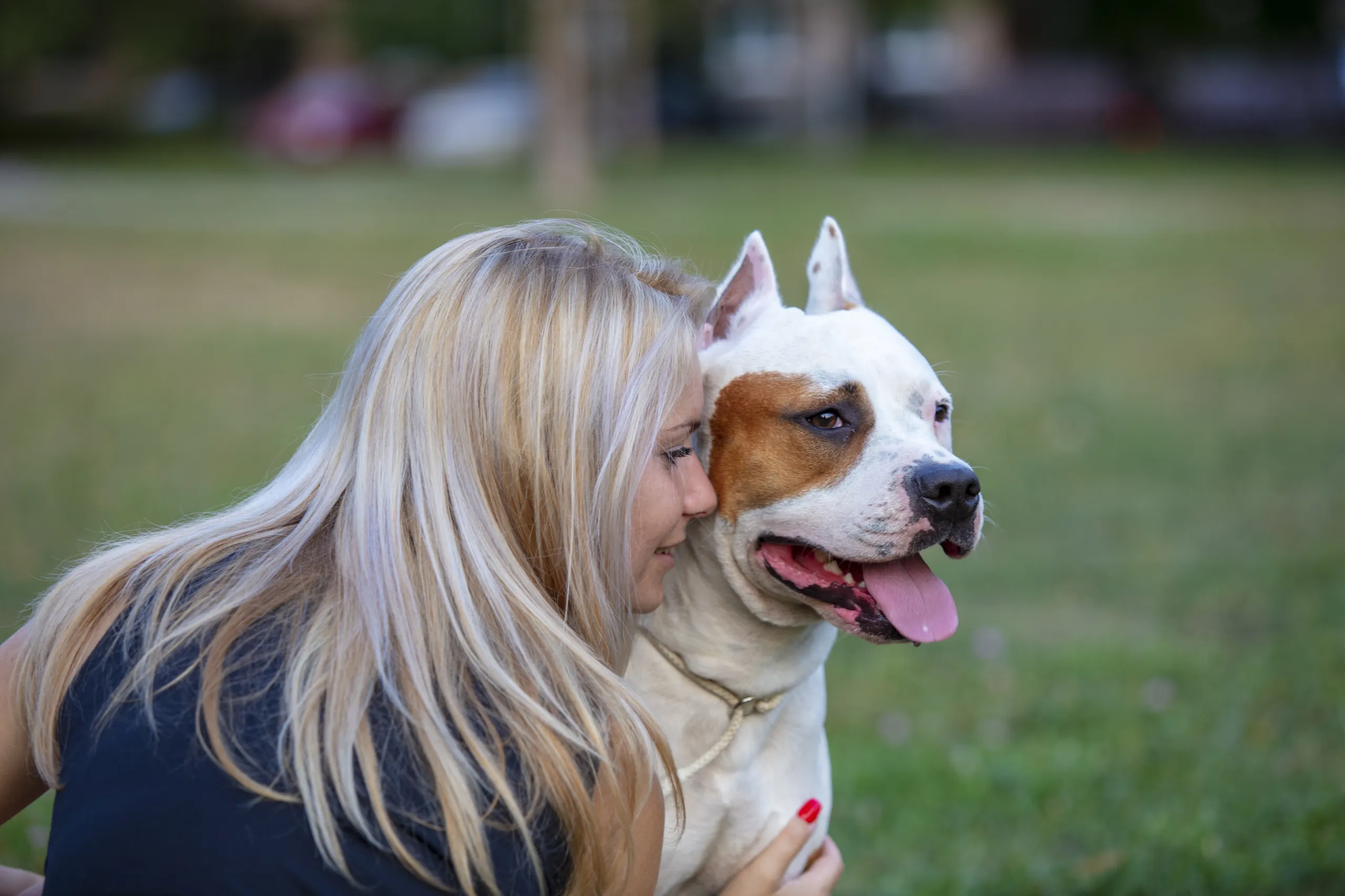 Hunde - Peter Boor Photography