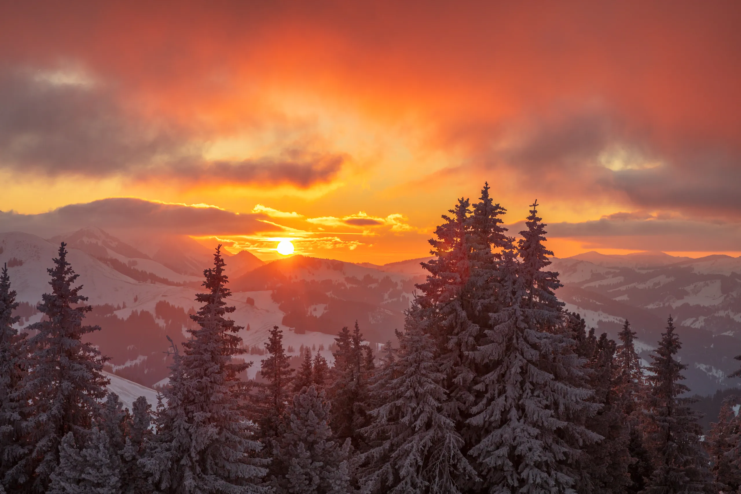 Natur - Peter Boor Photography